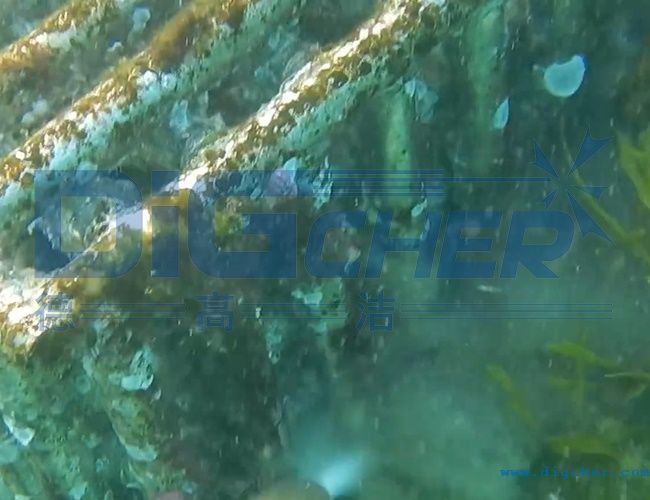 水下養(yǎng)殖網箱清洗技術