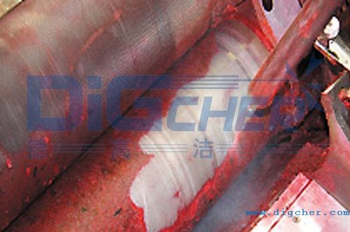 �¸ߝ�DPT Pro�ɱ���ϴ�C(j��)��ӡˢ���I(y��)�ϵđ�(y��ng)��